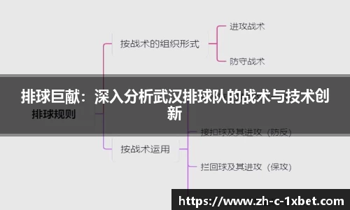 排球巨献:深入分析武汉排球队的战术与技术创新